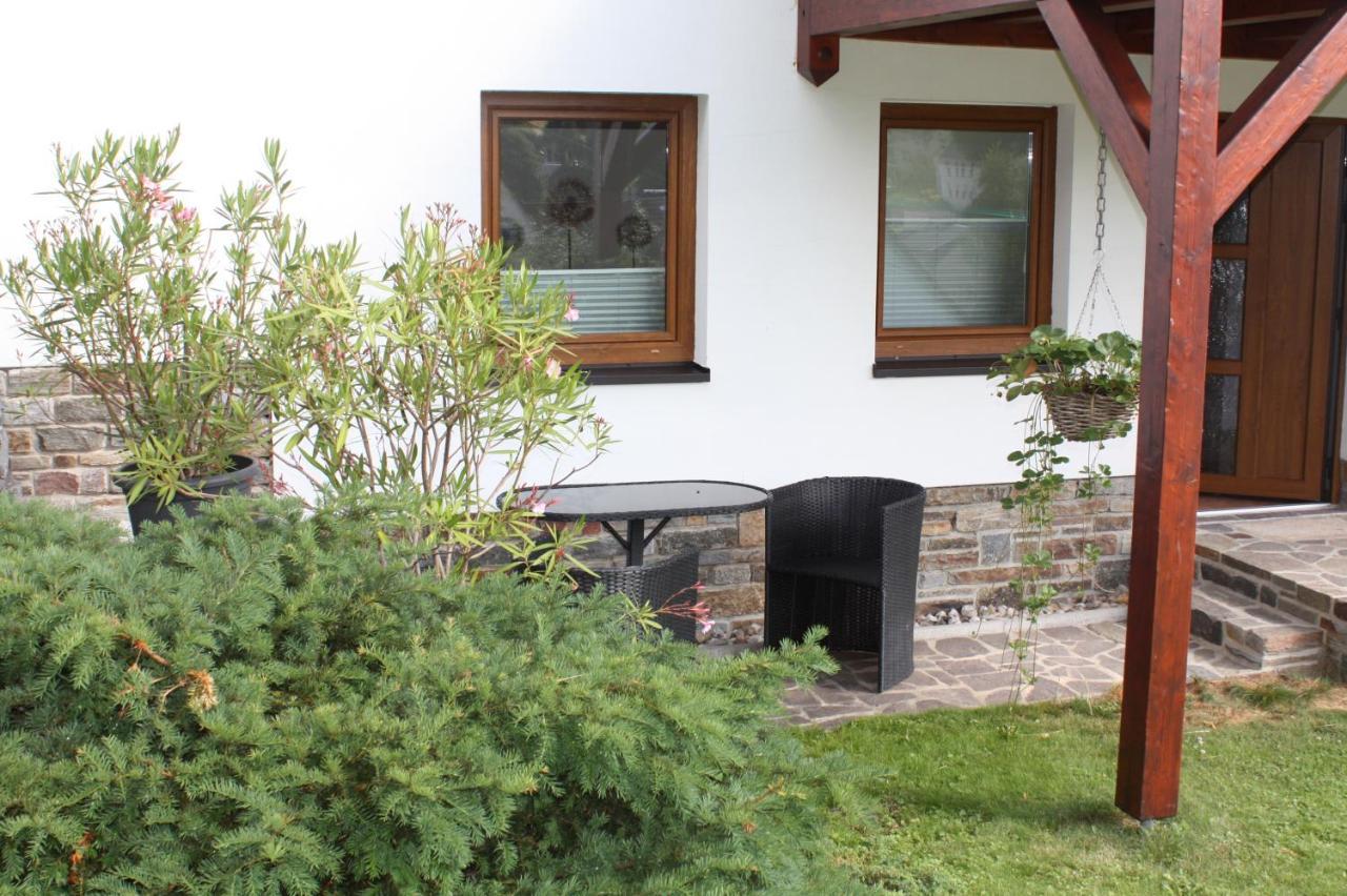 Friedrich Apartment Mildenau