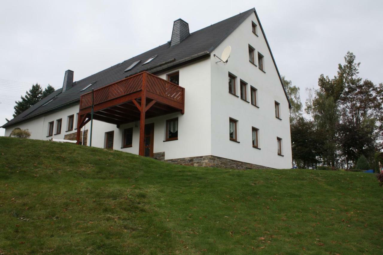 Friedrich Apartament Mildenau